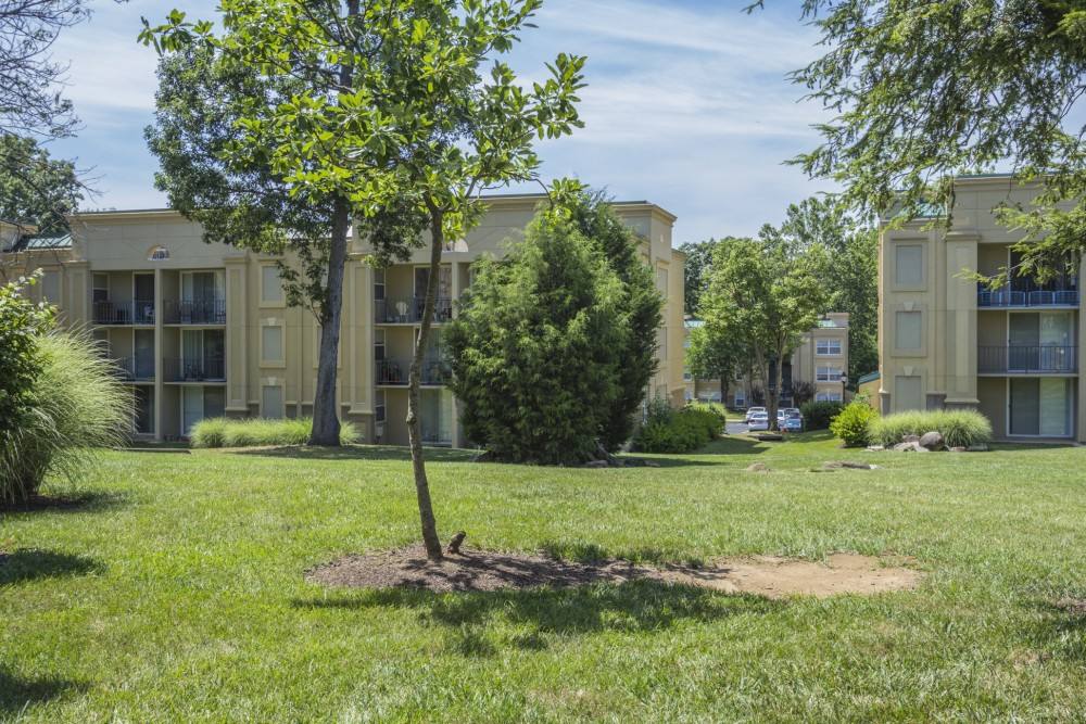 Apartment for rent at Stuart Woods, 140 Laurel Way, Herndon, VA 20170
