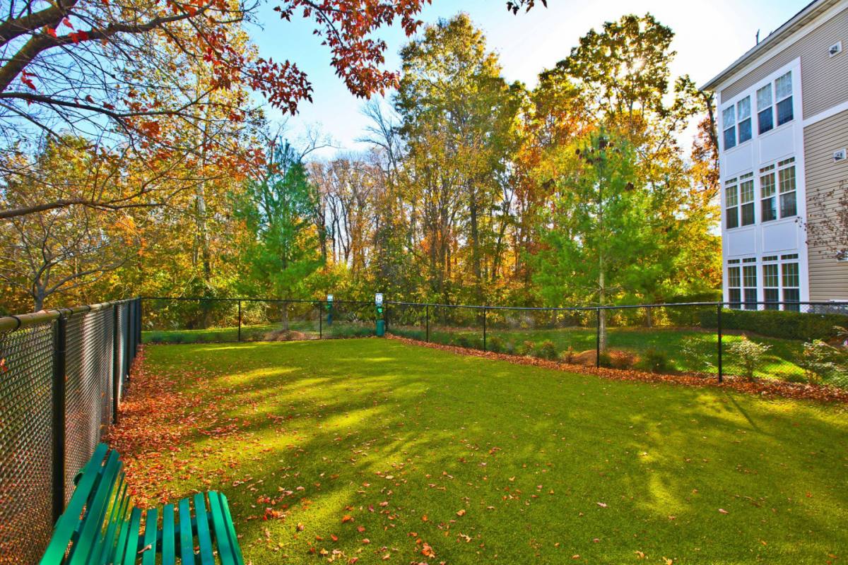 Townhouse for rent at Broadlands Luxury, 21799 Crescent Park Square, Ashburn, VA 20148