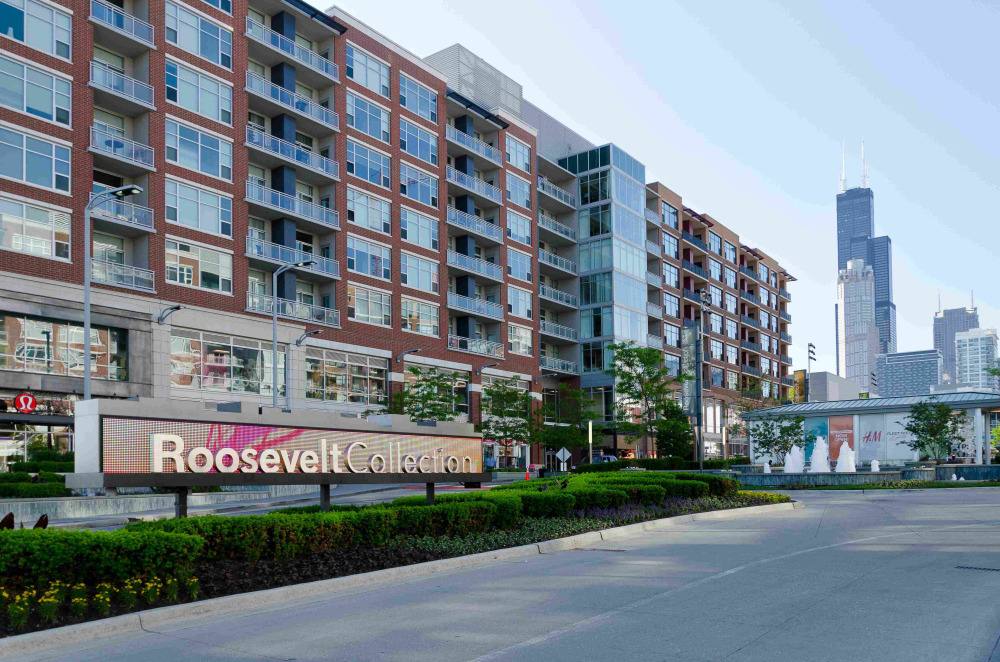 Apartment for rent at Roosevelt Collection Lofts, 1135 S Delano Court E, Chicago, IL 60605