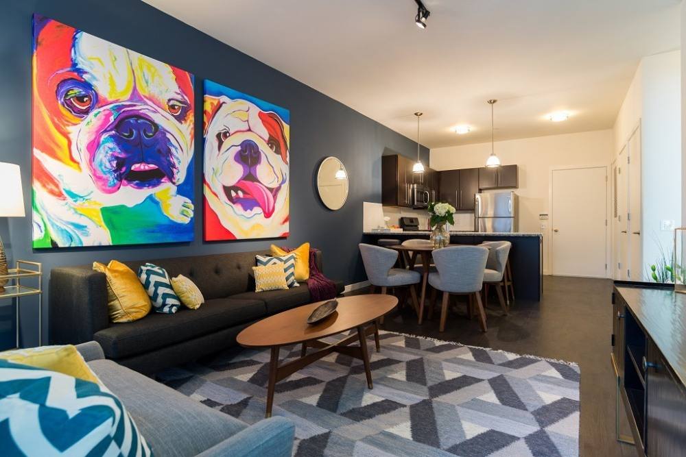 Apartment for rent at The Novella, 1245 Chapel St, New Haven, CT 06511