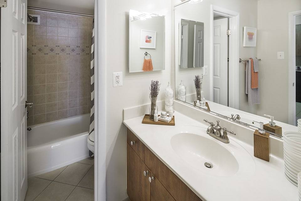 Apartment for rent at Alister Arlington Ridge, 2400 S Glebe Rd, Arlington, VA 22206