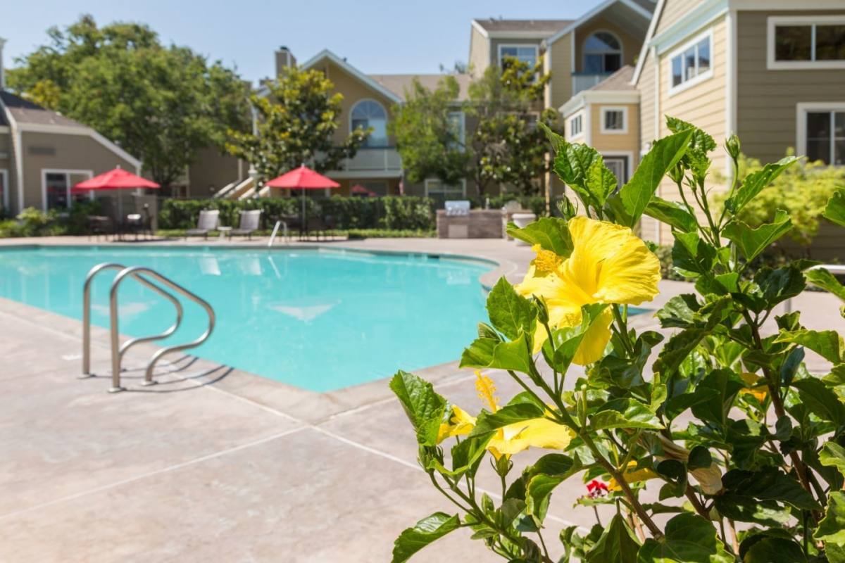 Apartment for rent at Woodland Meadow, 1600 Whitewood Dr, San Jose, CA 95131