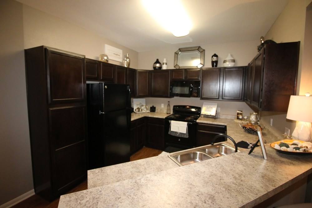 Apartment for rent at Landmark at Spring Cypress, 3223 Spring Cypress Rd, Spring, TX 77388