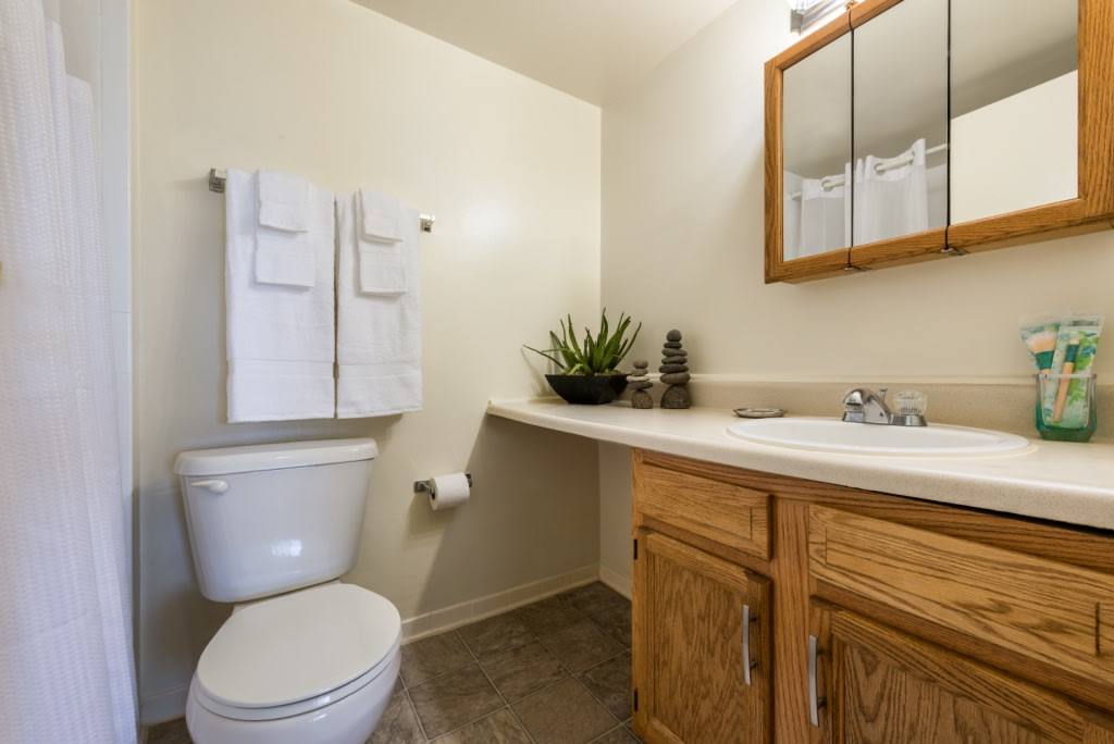 Apartment for rent at The Chateau, 9727 Mount Pisgah Rd, Silver Spring, MD 20903