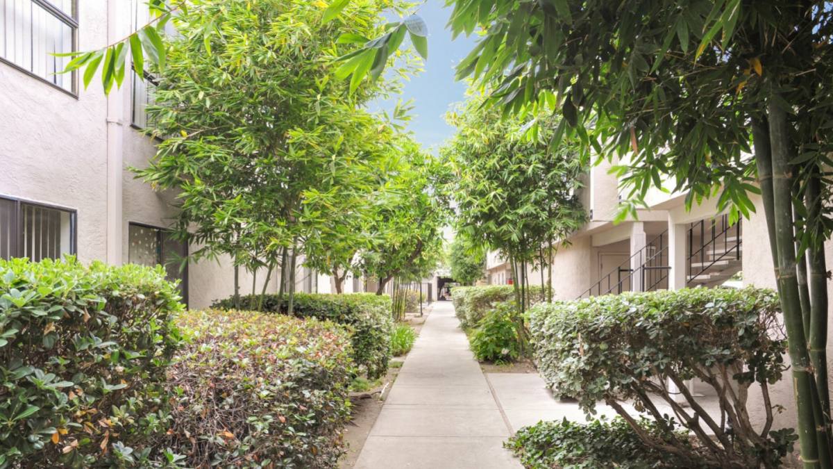 Apartment for rent at St Moritz, 1531 Detroit Ave, Concord, CA 94520