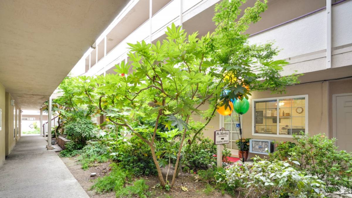 Apartment for rent at St Moritz, 1531 Detroit Ave, Concord, CA 94520