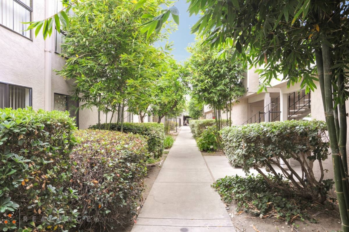 Apartment for rent at St Moritz, 1531 Detroit Ave, Concord, CA 94520