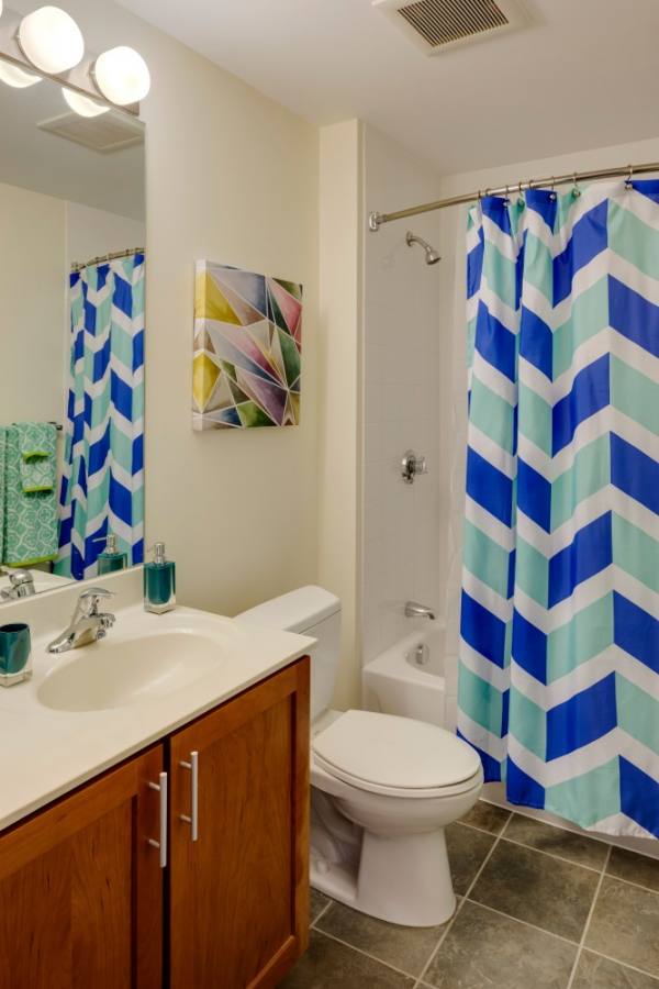 Apartment for rent at Peninsula, 401 Mount Vernon St, Dorchester, MA 02125