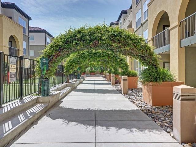 Apartment for rent at Villa Montanaro, 203 Coggins Dr, Pleasant Hill, CA 94523