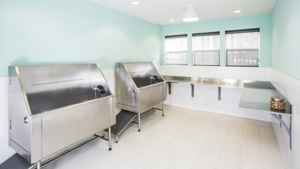 Apartment for rent at Modera Tempo, 5760 Dow Ave, Alexandria, VA 22304