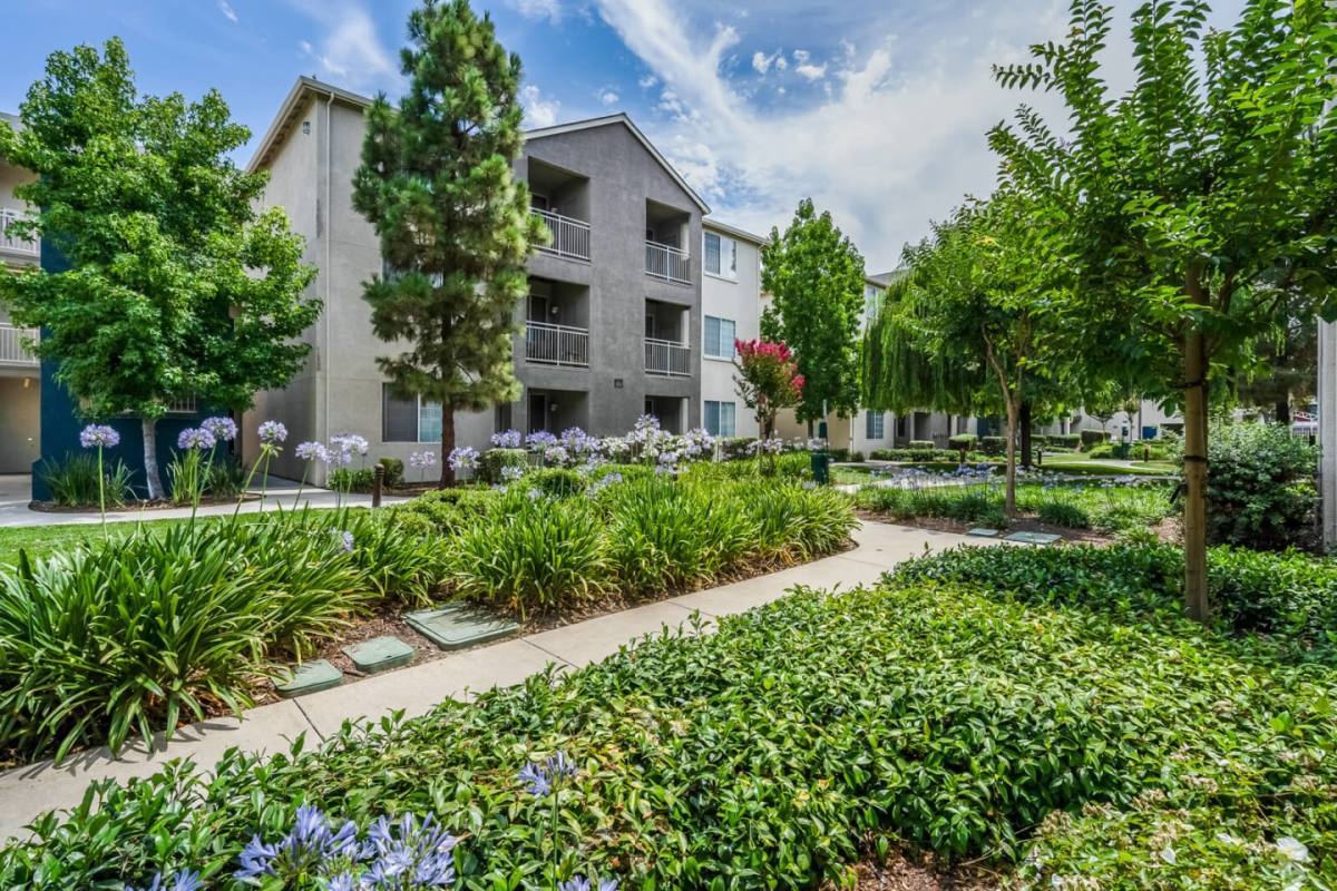 Apartment for rent at Pavona, 760 N 7th St, San Jose, CA 95112