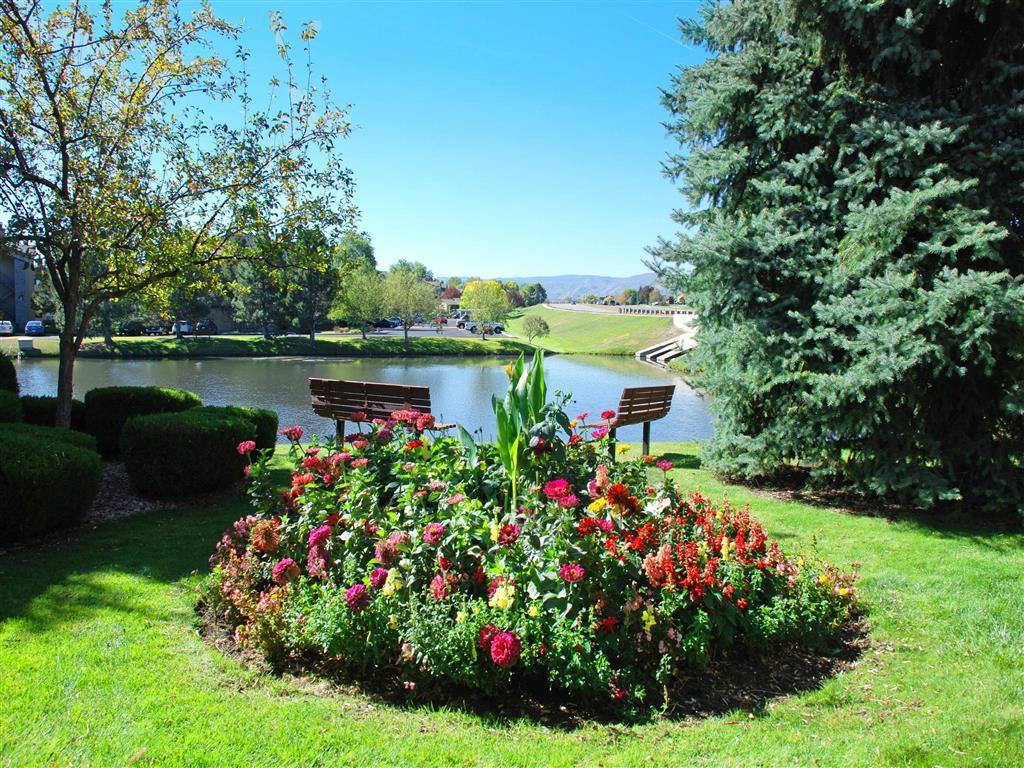 Apartment for rent at The Pines at Marston Lake, 4801 S Wadsworth Blvd, Littleton, CO 80123