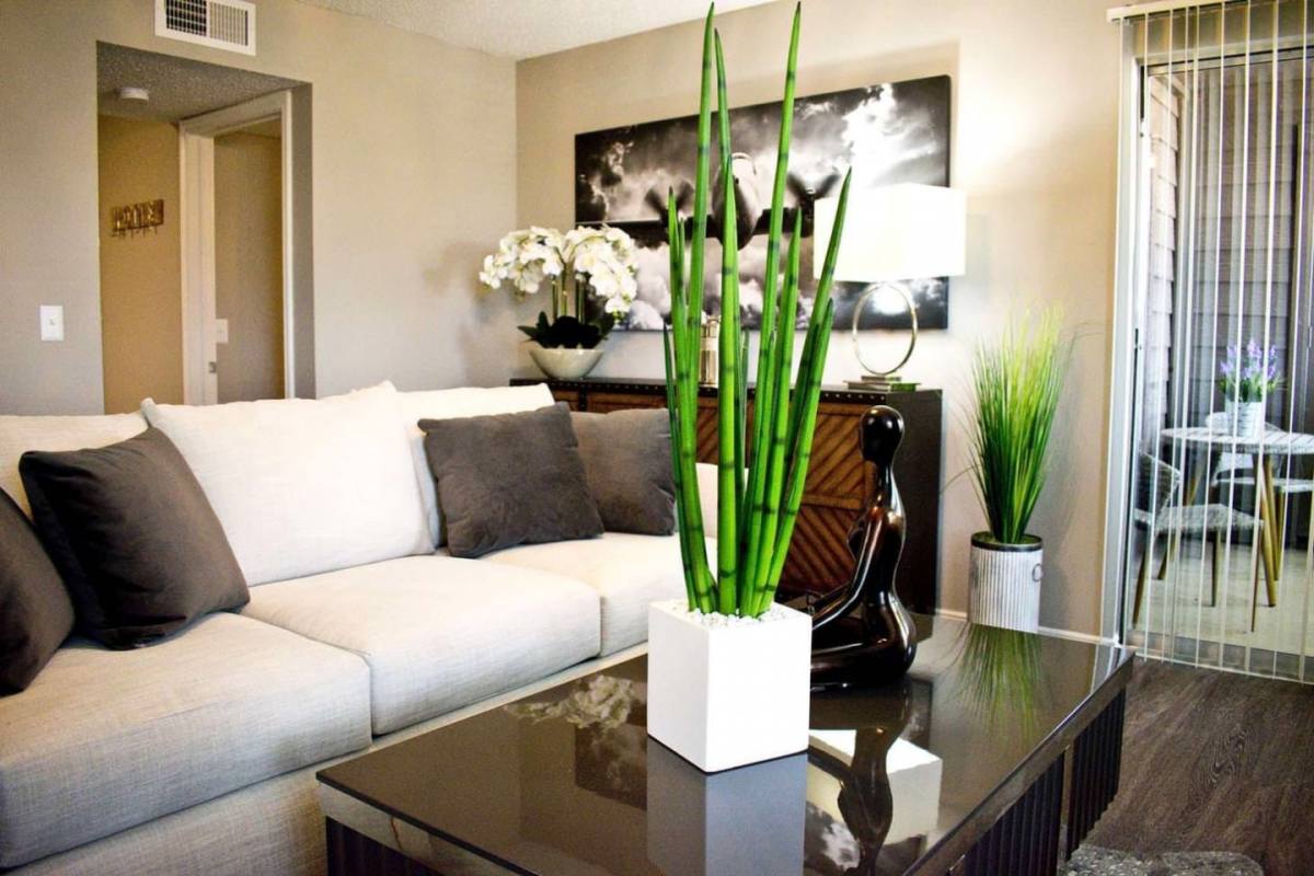 Apartment for rent at Westwind, 1710 Sam Bass Blvd, Denton, TX 76205