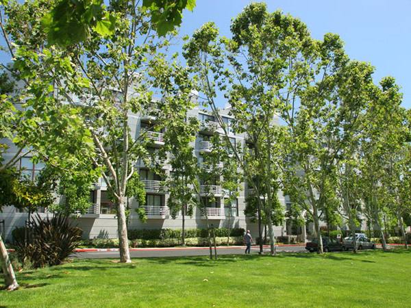 Apartment for rent at Cupertino City Center, 20350 Stevens Creek Blvd, Cupertino, CA 95014
