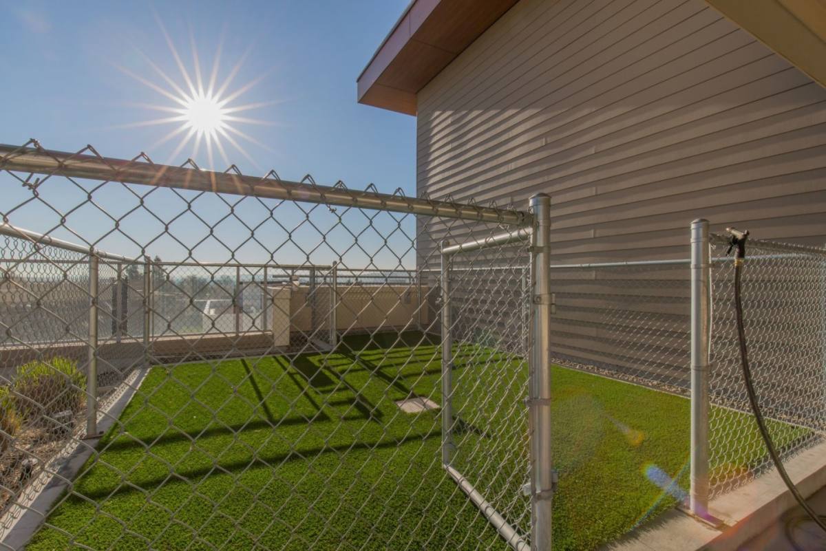 Apartment for rent at Linden, 1250 E Burnside St, Portland, OR 97232