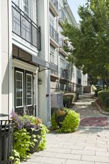 Apartment for rent at Sterling Magnolia, 3720-103 Wendwood Lane, Charlotte, NC 28211