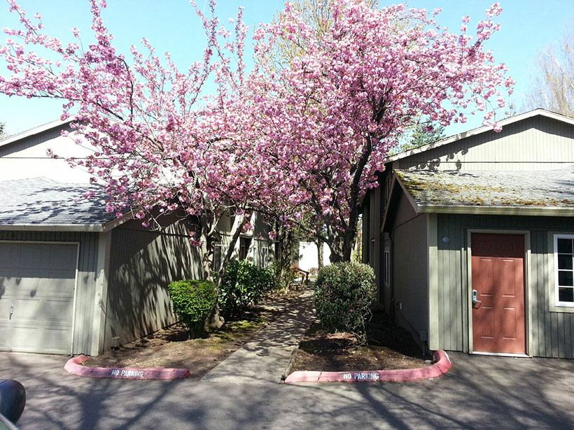 Apartment for rent at Rene Village, 606 SE Rene Ave, Gresham, OR 97080