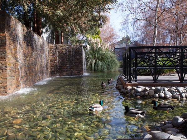 Apartment for rent at Shadowbrook, 235 Bernardo Ave, Sunnyvale, CA 94086
