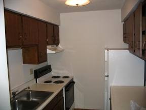 Apartment for rent at Diamond Lake, 100 W Diamond Lake Rd, Minneapolis, MN 55419