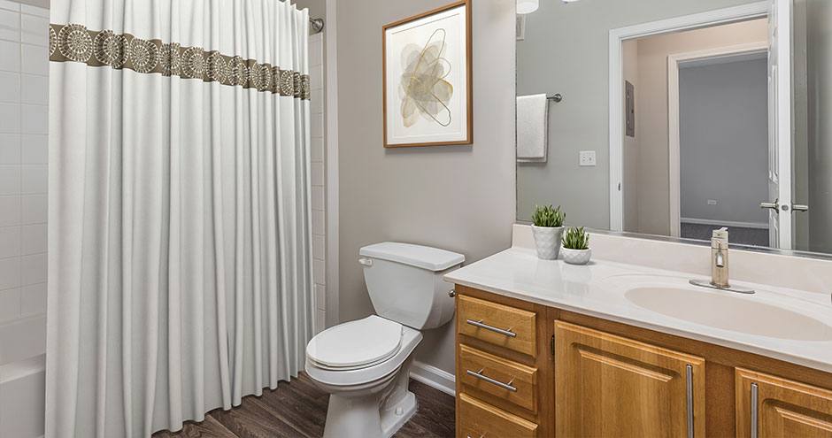 Apartment for rent at Aurora at Summerfield, 1847 Clubhouse Dr, Aurora, IL 60504