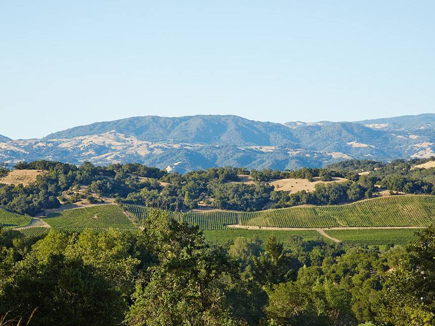Apartment for rent at Blue Oak, 710 Experimental Station Rd, Paso Robles, CA 93446