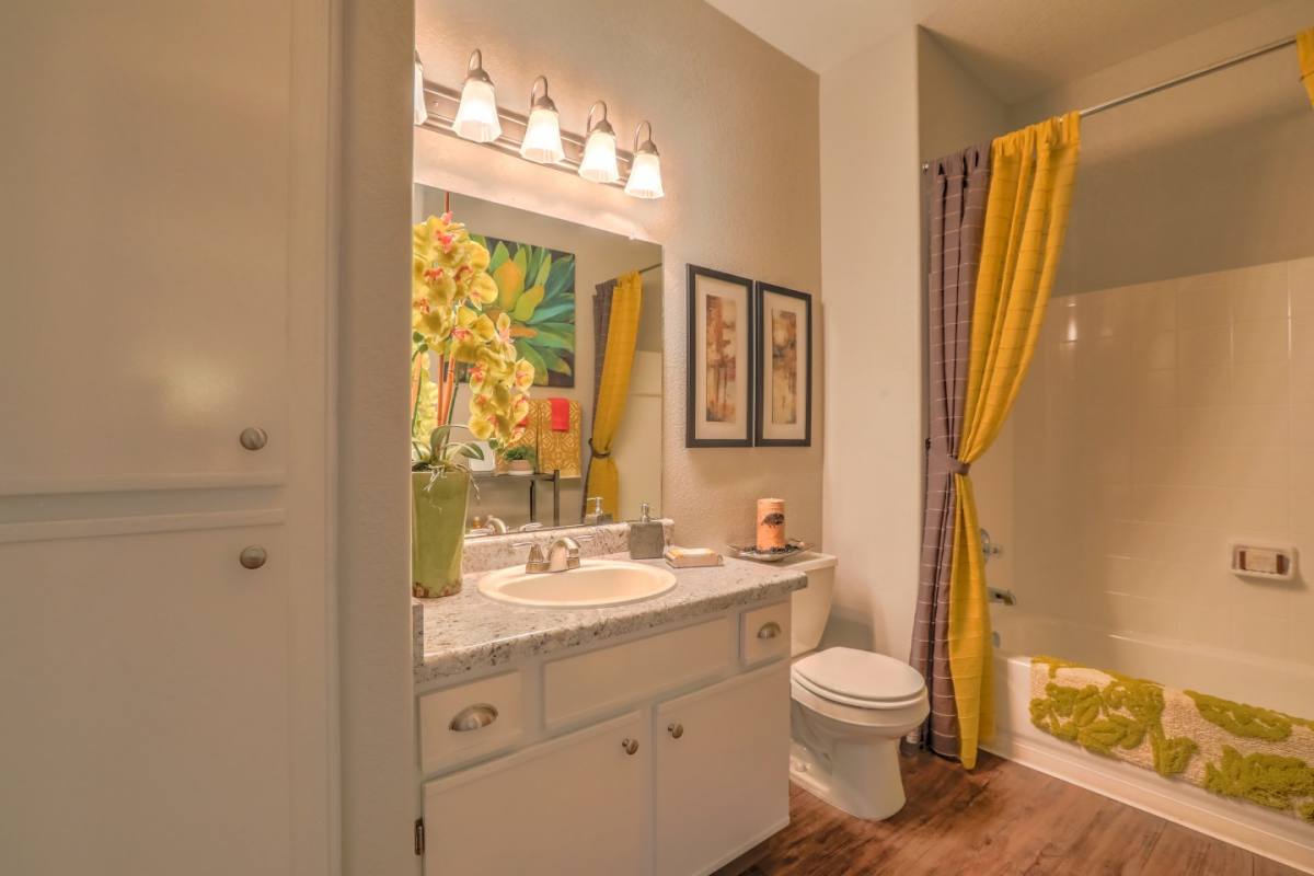 Apartment for rent at Arterra, 8300 Wyoming Blvd NE, Albuquerque, NM 87113