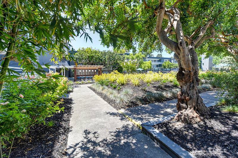 Apartment for rent at Citra, 745 S Bernardo Ave, Sunnyvale, CA 94087