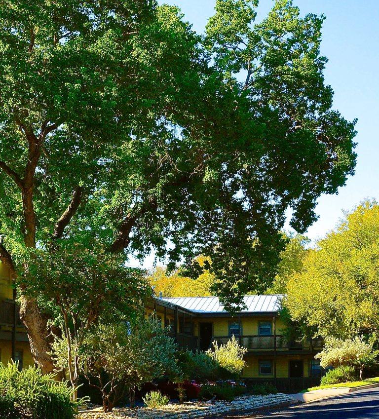 Apartment for rent at Park Place, 1301 W 9th St, Austin, TX 78703