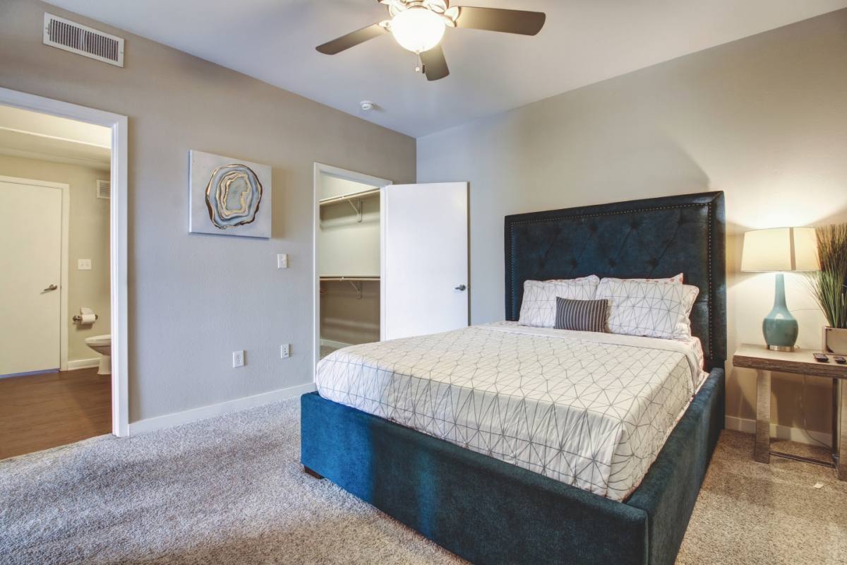 Apartment for rent at Cole, 300 S Lamar Blvd, Austin, TX 78704