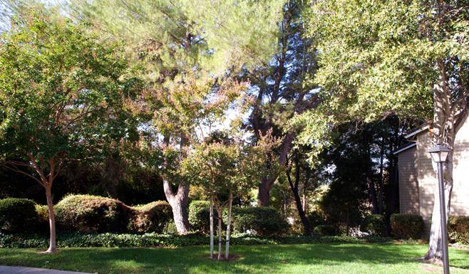 Apartment for rent at Lime Ridge, 3278 Tioga Rd, Concord, CA 94518