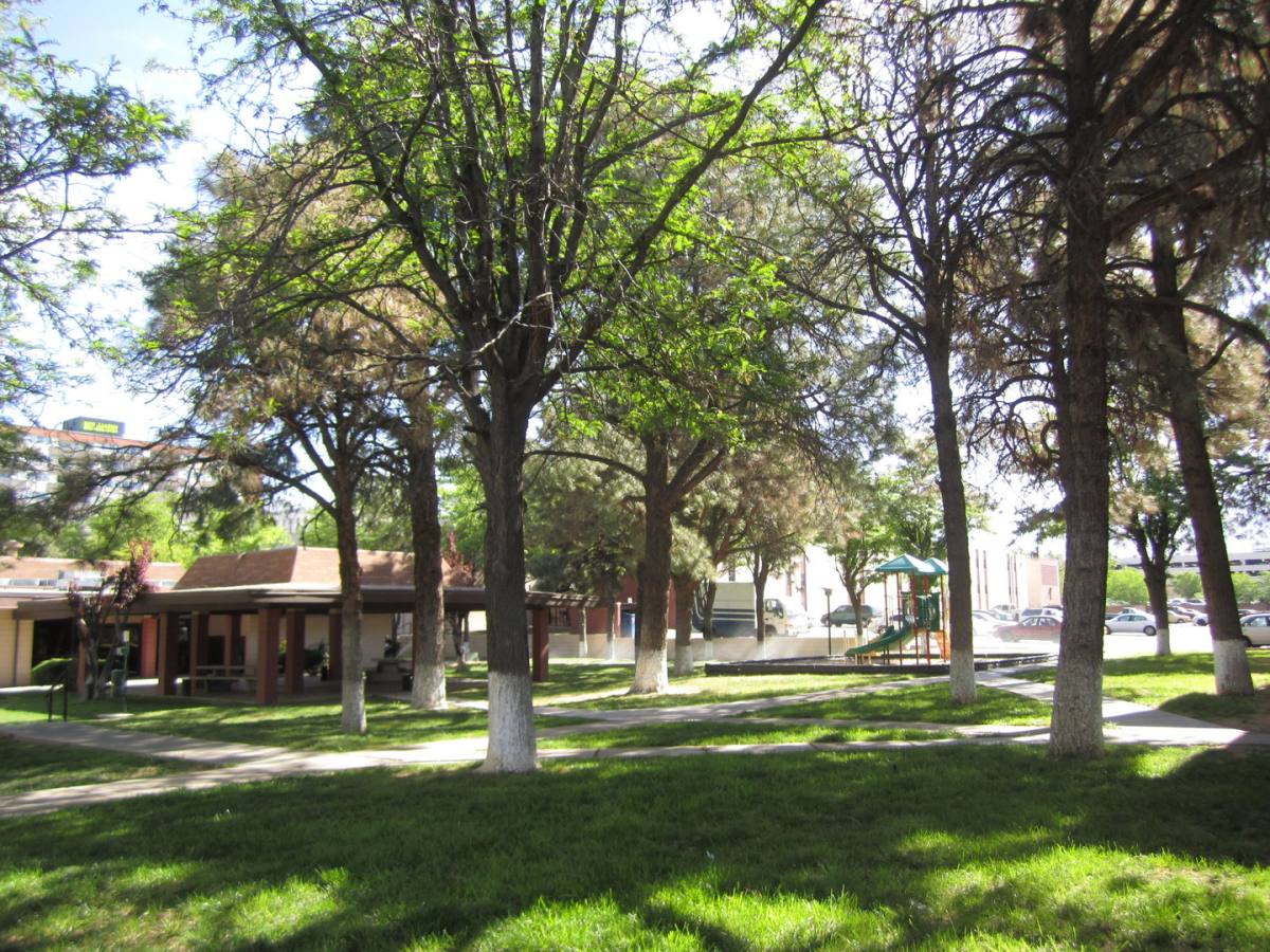 Apartment for rent at 6230 Indian School Rd NE, Albuquerque, NM 87110