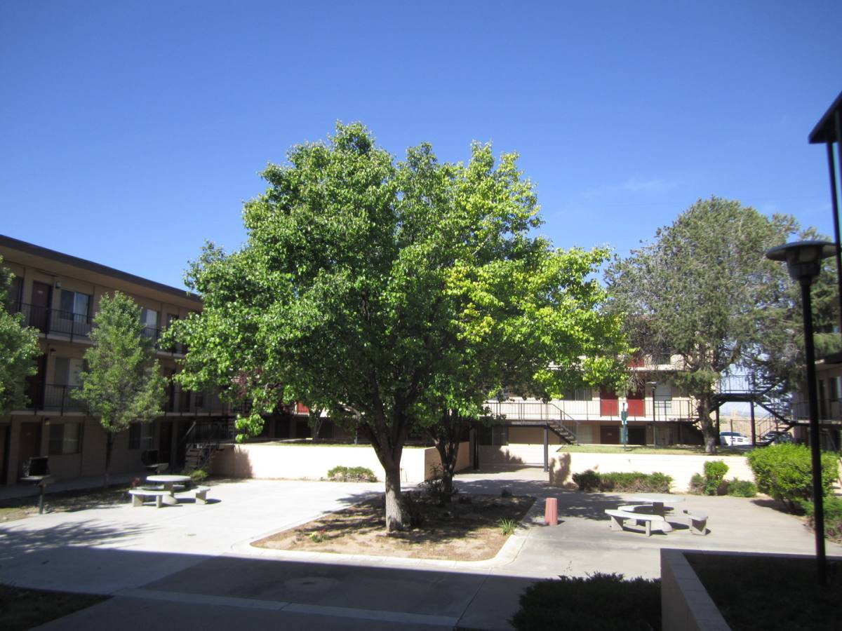 Apartment for rent at 6230 Indian School Rd NE, Albuquerque, NM 87110