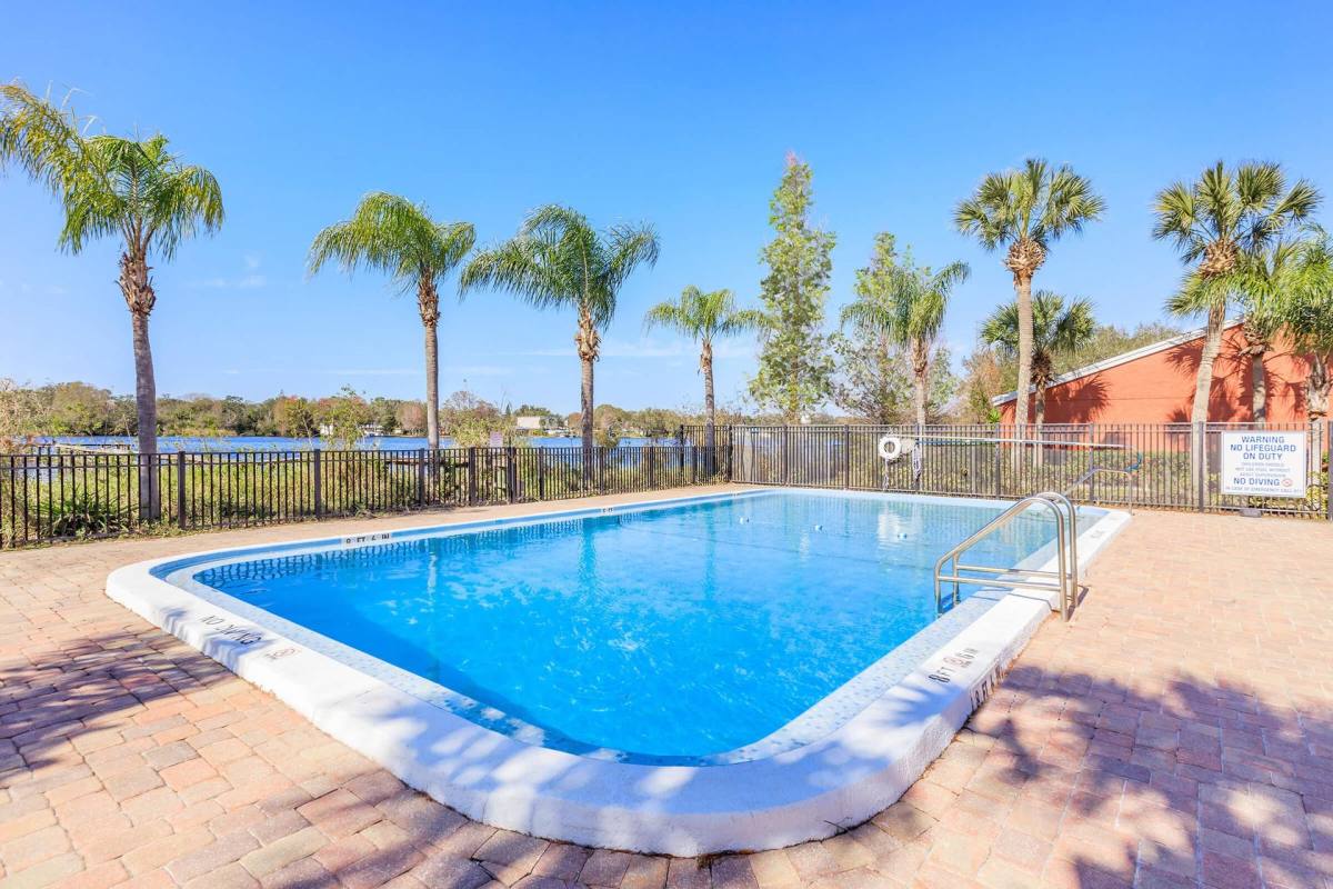Apartment for rent at 4102 Oak Knoll Court, Tampa, FL 33610