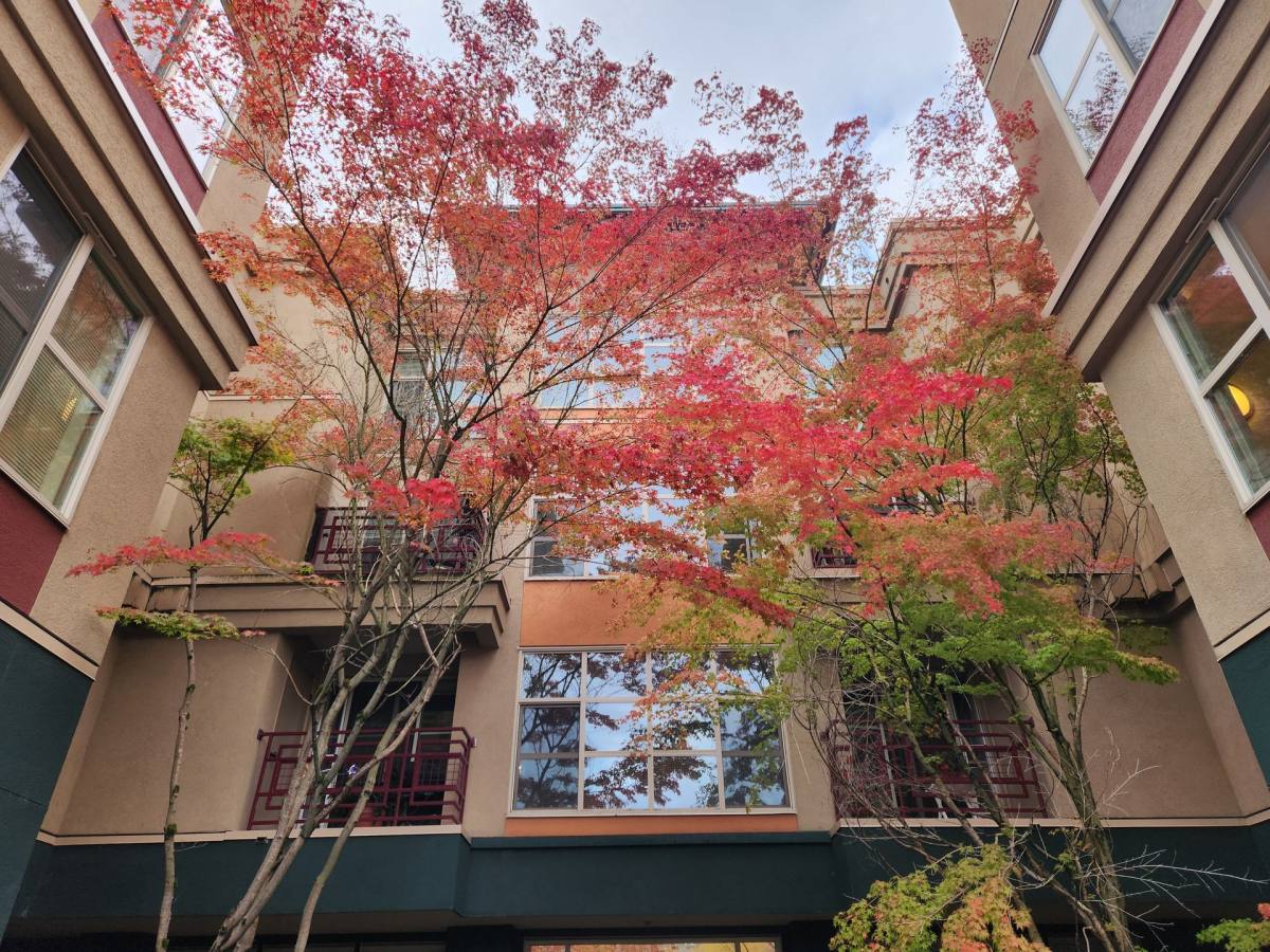 Apartment for rent at 3011 78th Ave SE, Mercer Island, WA 98040