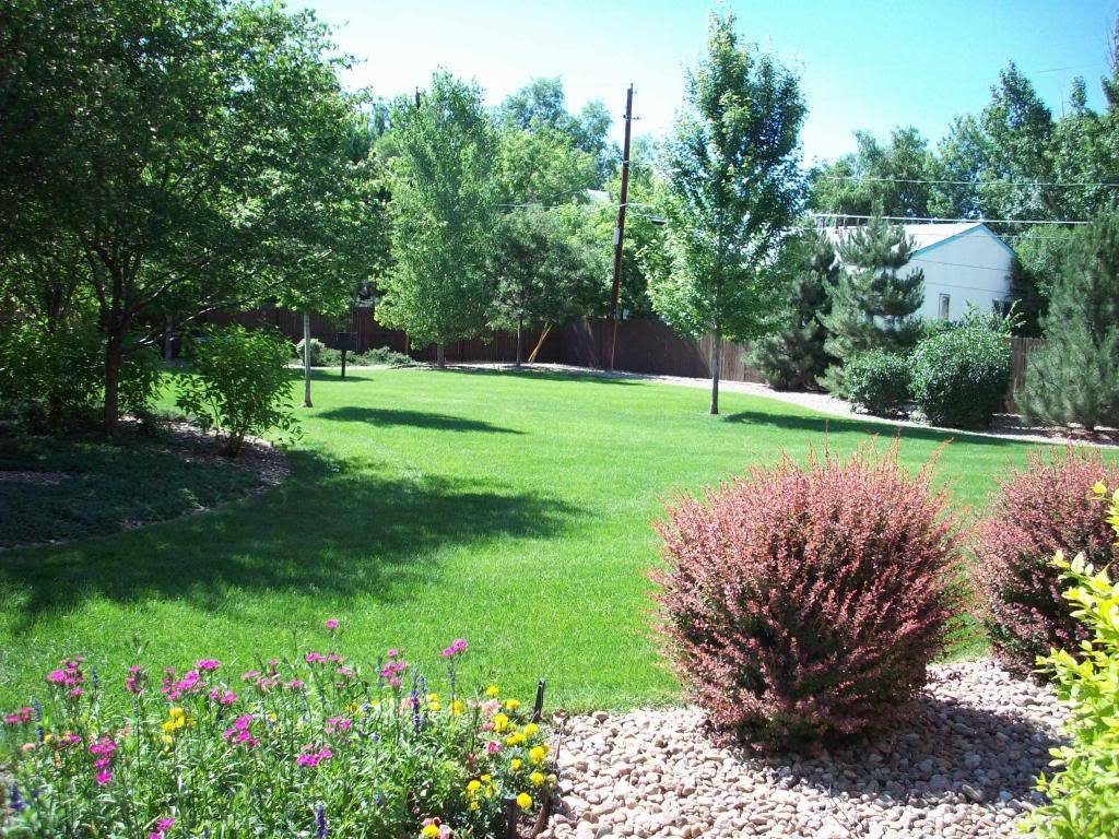 Apartment for rent at 5379 Balsam St, Arvada, CO 80002