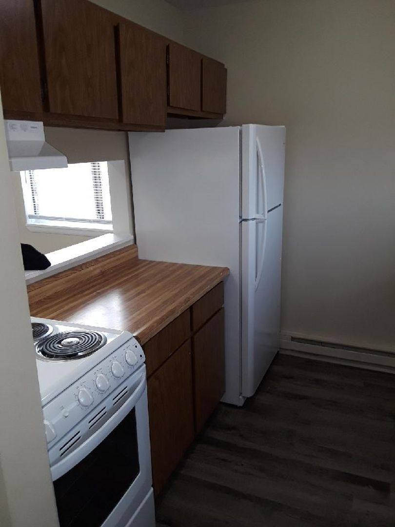 Apartment for rent at 360 N Ann St, Fowlerville, MI 48836