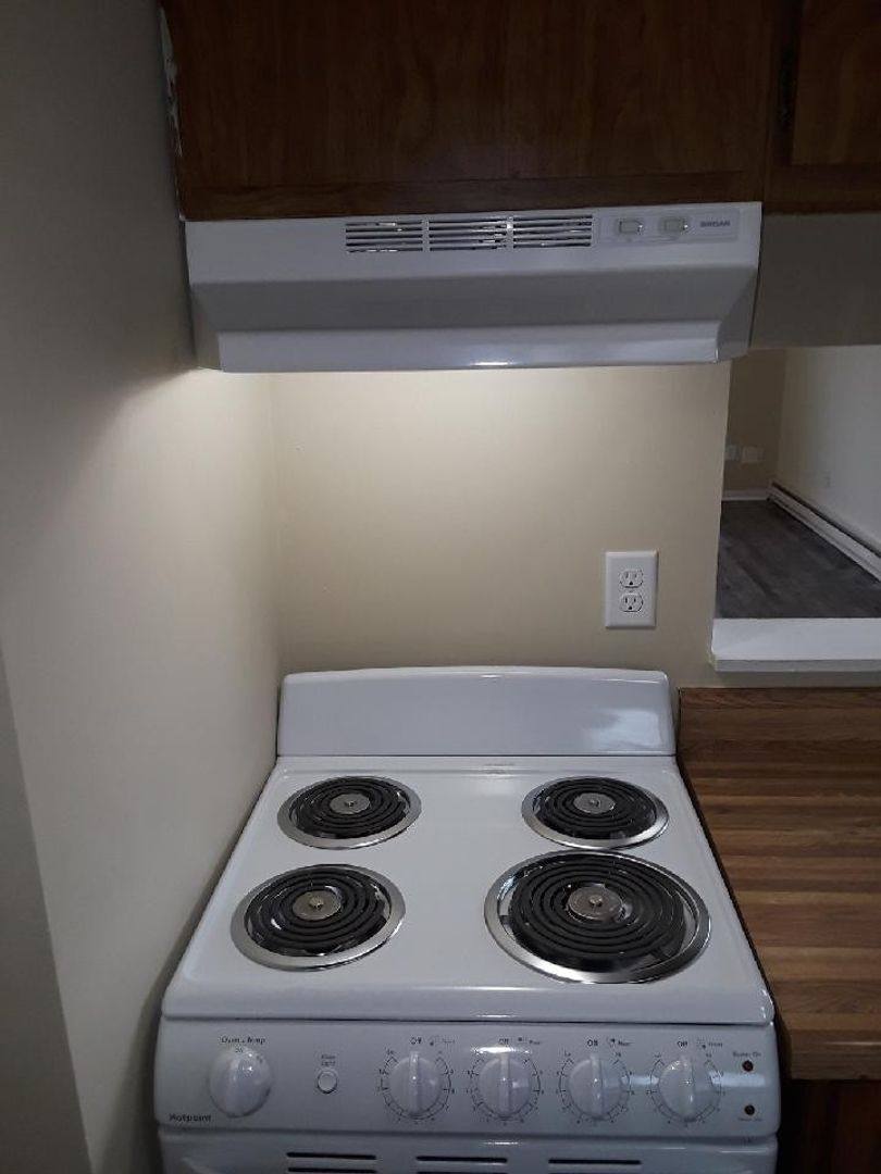 Apartment for rent at 360 N Ann St, Fowlerville, MI 48836