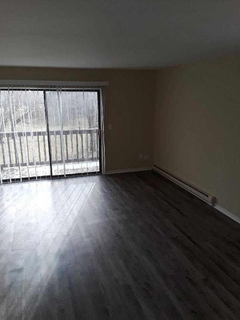 Apartment for rent at 360 N Ann St, Fowlerville, MI 48836