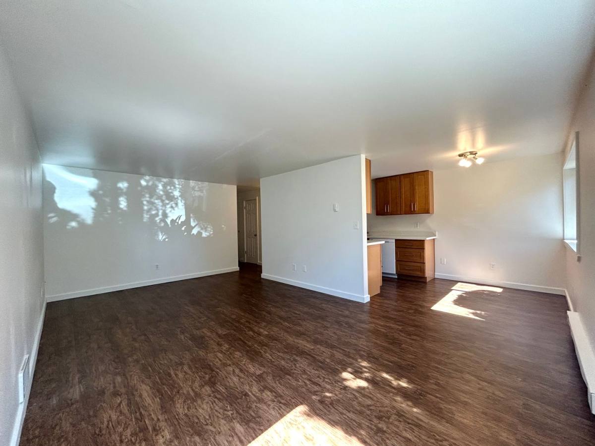 5319 24th Ave NE, Seattle, WA 98105 Apartment For Rent