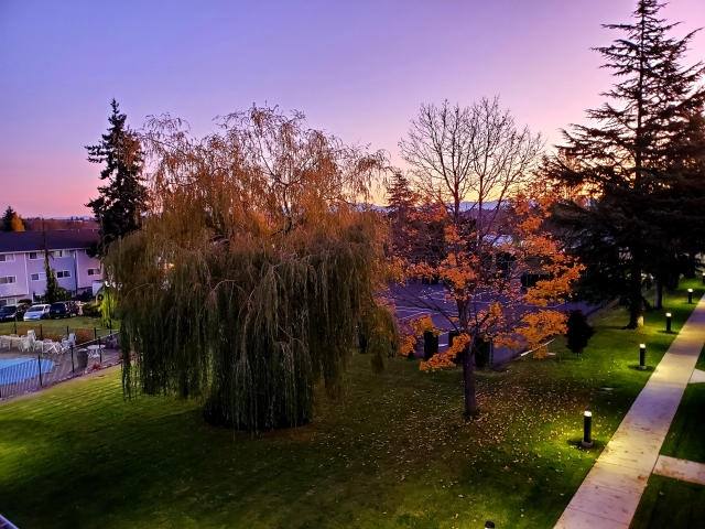 Apartment for rent at 4402 212th St SW #D32, Mountlake Terrace, WA 98043