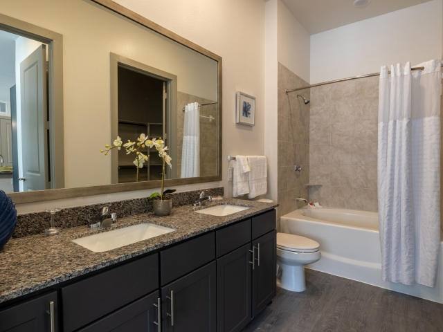 Apartment for rent at 9779 Fannin Railway #D31, Houston, TX 77045