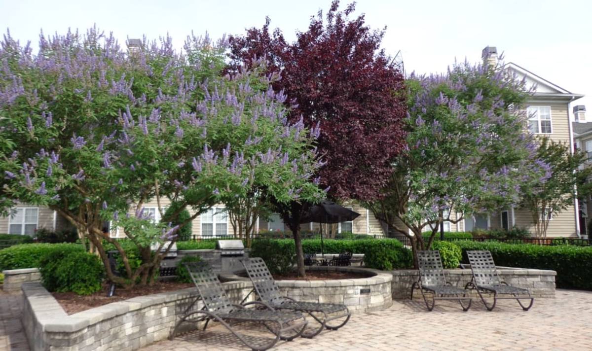 Apartment for rent at 220 Marsh Landing, Carrollton, VA 23314