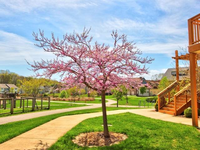 Apartment for rent at 3360 S Aspet Bend #C13, Bloomington, IN 47401