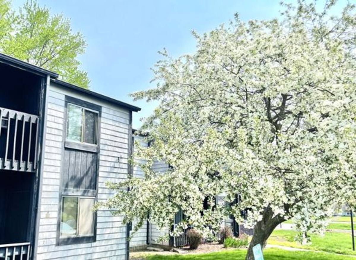 Apartment for rent at 1117 S Cross St Office, Sycamore, IL 60178