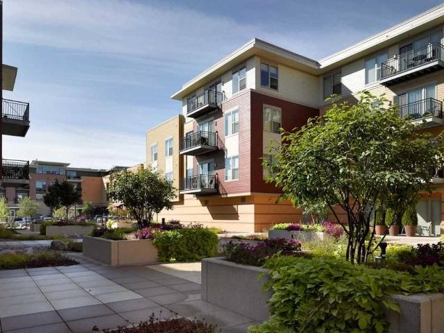 Apartment for rent at 515 S Midvale Blvd #E23, Madison, WI 53711