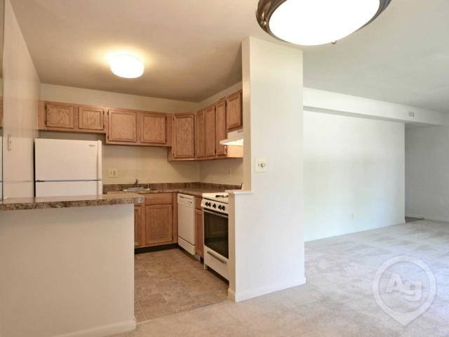 Apartment for rent at 1729 Champlain Dr #E13, Gwynn Oak, MD 21207