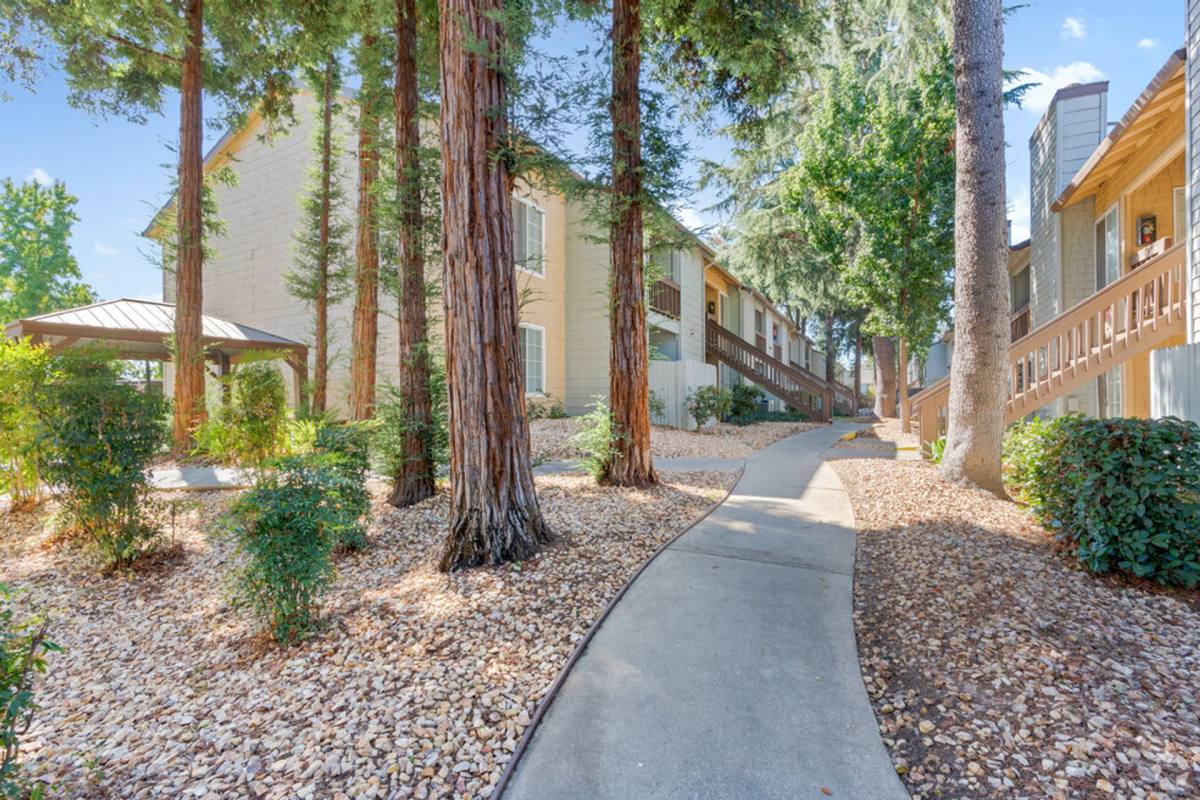 Walnut Village, 5341 Walnut Ave, Sacramento, CA 95841 - Apartment for Rent - Image 3