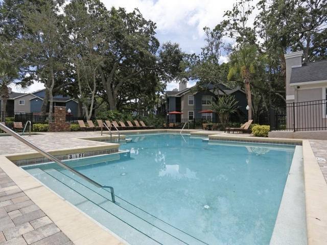 Apartment for rent at 31177 US-Highway 19 N #D31, Palm Harbor, FL 34684