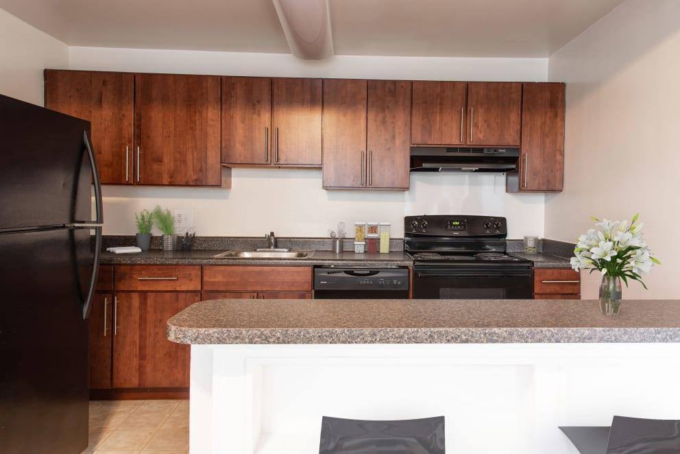 1149 Donington Circle, Towson, MD 21204 Apartment For Rent 1,519