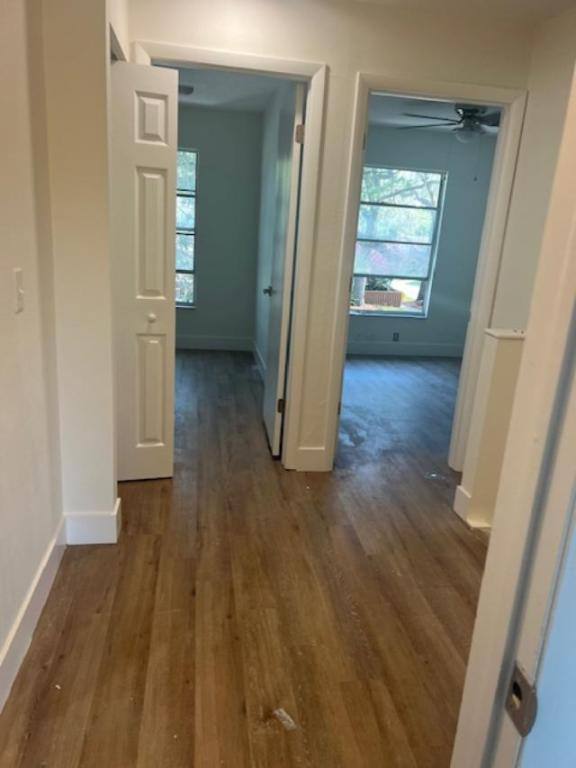 Lake Forest 14734 Morning Dr, Lutz, FL 33559 RentalSource